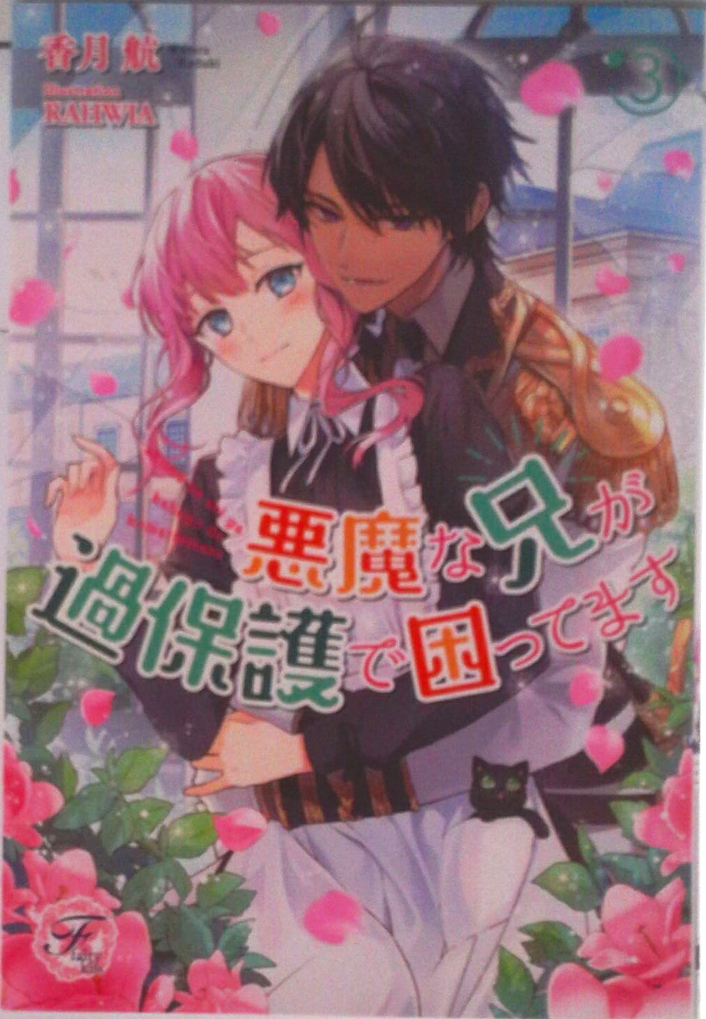 š۰ʷݸǺäƤޤ 3/Jѥ֥å/ҡñܡʥեȥСˡ