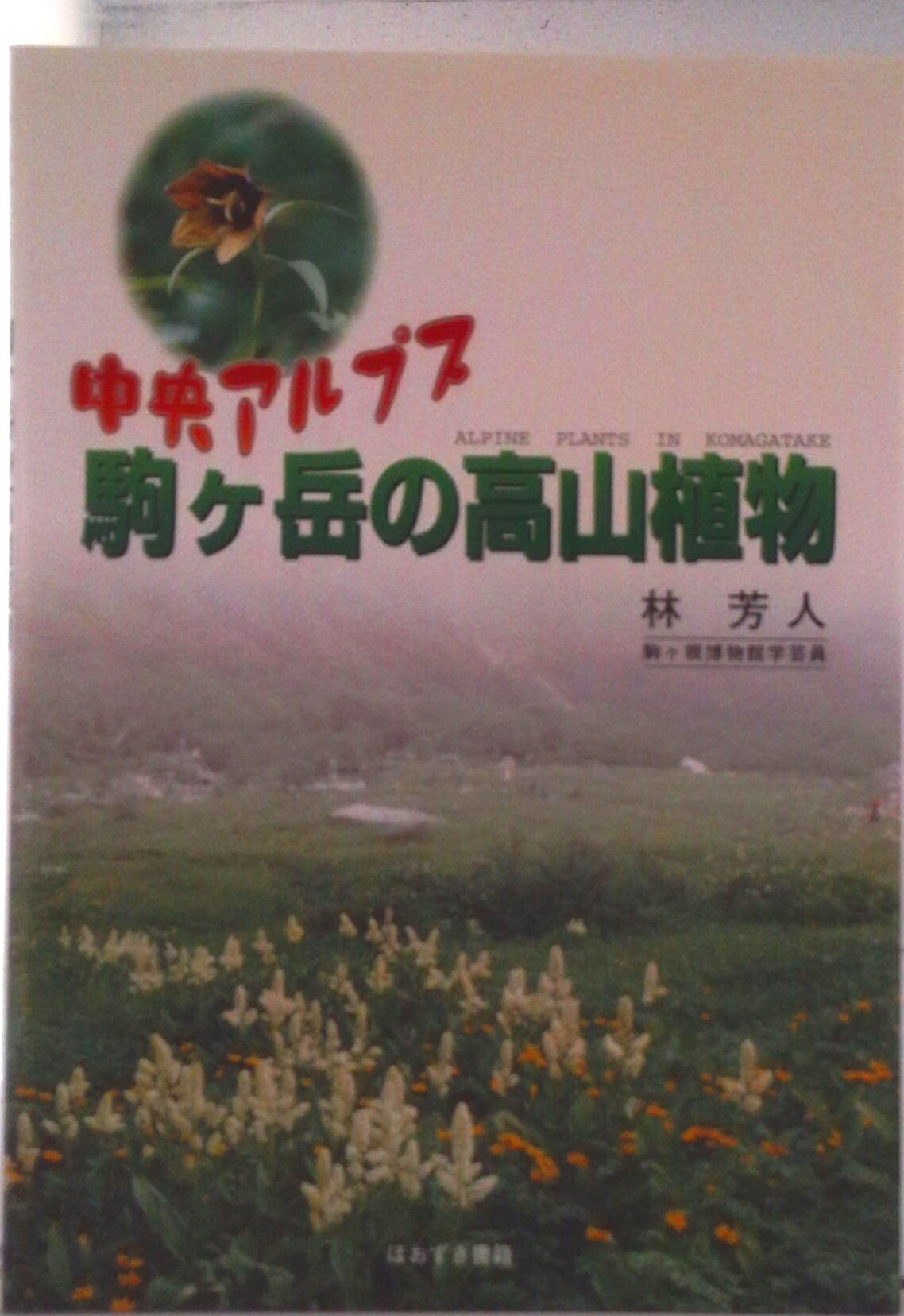 ◆◆◆非常にきれいな状態です。中古商品のため使用感等ある場合がございますが、品質には十分注意して発送いたします。 【毎日発送】 商品状態 著者名 林芳人 出版社名 ほおずき書籍 発売日 2002年08月 ISBN 9784434022678