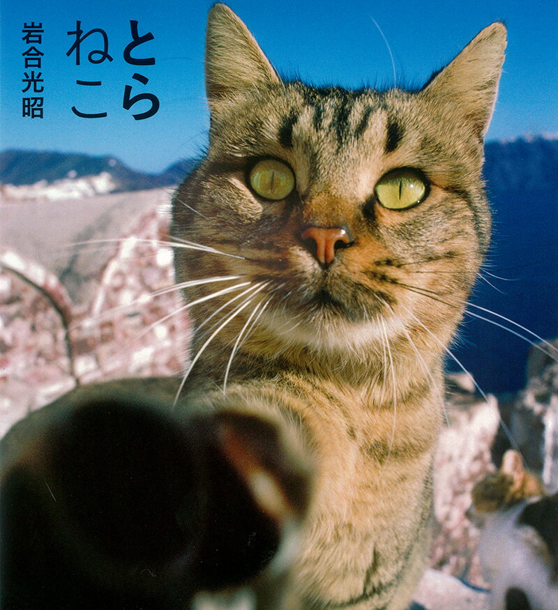 【中古】とらねこ/クレヴィス/岩合光昭（単行本（ソフトカバー））