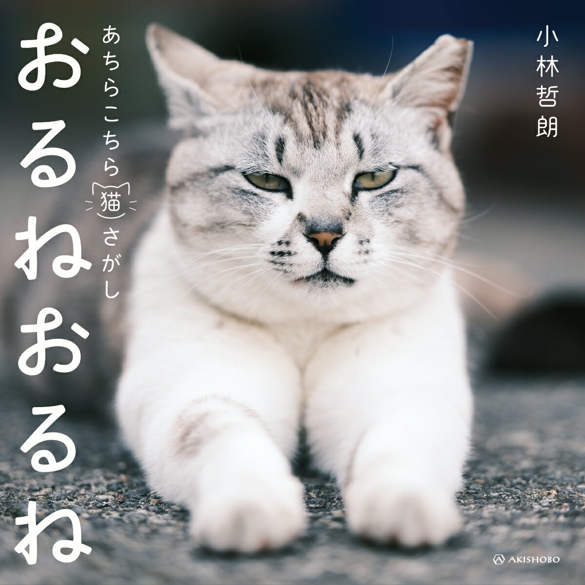 【中古】おるねおるね あちらこちら猫さがし/亜紀書房/小林哲朗（単行本（ソフトカバー））