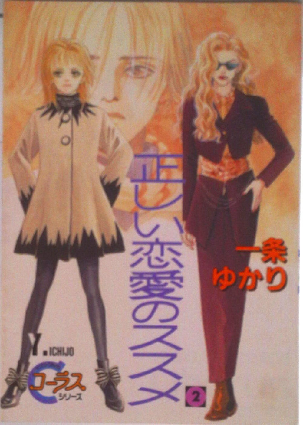 【中古】正しい恋愛のススメ 2/集英社/一条ゆかり（コミック）