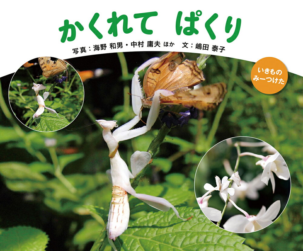 【中古】かくれてぱくり/童心社/嶋田泰子（単行本）