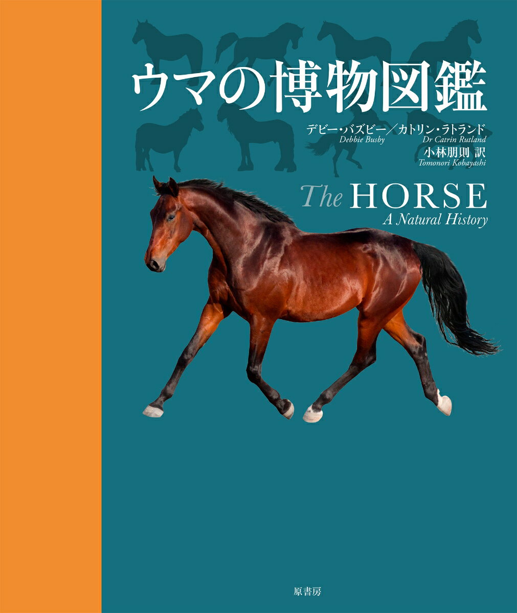【中古】ウマの博物図鑑/原書房/デビー・バズビー（単行本）