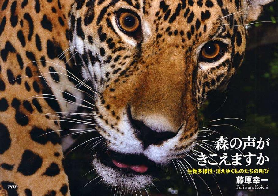 【中古】森の声がきこえますか 生物多様性・消えゆくものたちの叫び/PHP研究所/藤原幸一（大型本）