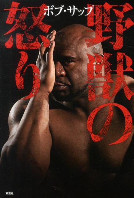 ����š���ä��ܤ�/���ռ�/�ܥ֡����åס�ñ���ܡʥ��եȥ��С��ˡ�