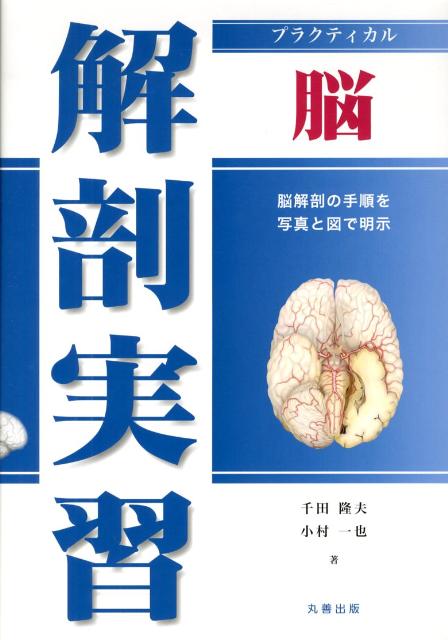 新品　自宅保管【プラクティカル解剖実習 四肢・体幹・頭頸部】丸善出版 楽天市場】プラクティカル解剖実習 四肢・体幹・頭頸部の通販