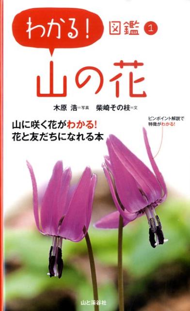 【中古】山の花/山と渓谷社/木原浩（単行本（ソフトカバー））