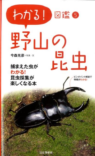 ◆◆◆非常にきれいな状態です。中古商品のため使用感等ある場合がございますが、品質には十分注意して発送いたします。 【毎日発送】 商品状態 著者名 今森光彦 出版社名 山と渓谷社 発売日 2010年02月 ISBN 9784635062060