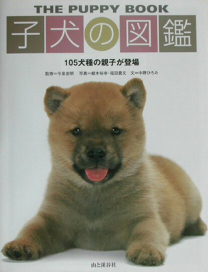 ◆◆◆全体的に汚れ、傷みがあります。中古ですので多少の使用感がありますが、品質には十分に注意して販売しております。迅速・丁寧な発送を心がけております。【毎日発送】 商品状態 著者名 植木裕幸、福田豊文 出版社名 山と渓谷社 発売日 2003年08月 ISBN 9784635596169