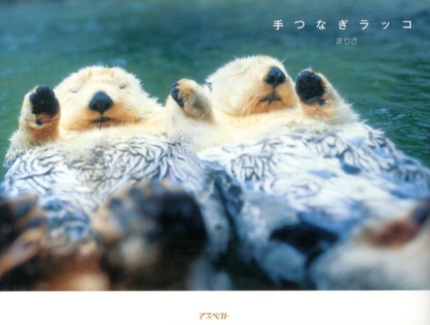 Zoology - 【中古】手つなぎラッコ/アスペクト/まりさ（単行本）