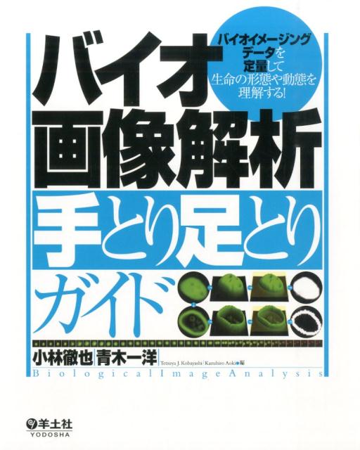 【中古】バイオ画像解析手とり足とりガイド バイオイメ-ジングデ-タを定量して生命の形態や動態/羊土社/小林徹也（単行本）