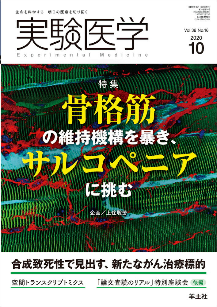 【中古】実験医学 生命を科学する明日の医療を切り拓く Vol．38　No．16（20/羊土社/上住聡芳（単行本）