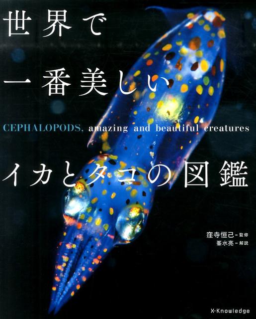 【中古】世界で一番美しいイカとタコの図鑑/エクスナレッジ/窪寺恒己（単行本）