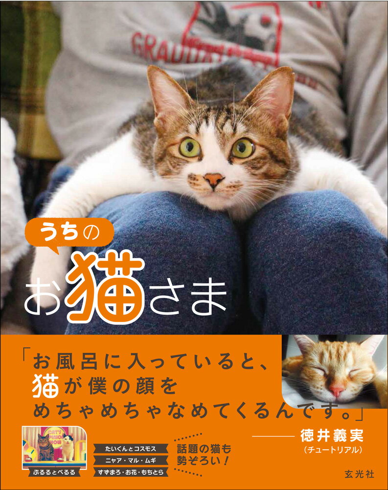 【中古】うちのお猫さま/玄光社（大型本）