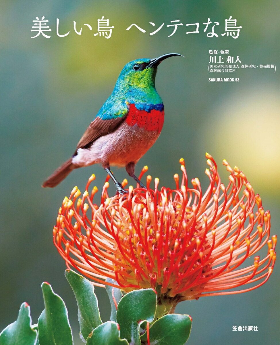 【中古】美しい鳥ヘンテコな鳥/笠倉出版社/川上和人（ムック）