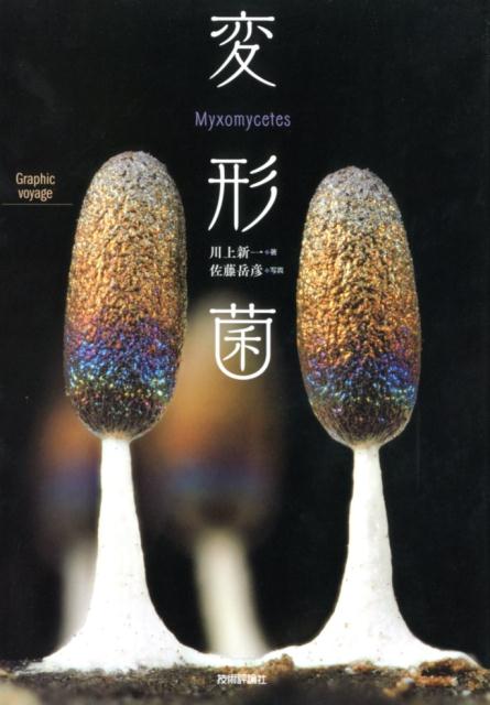【中古】変形菌/技術評論社/川上新一（大型本）