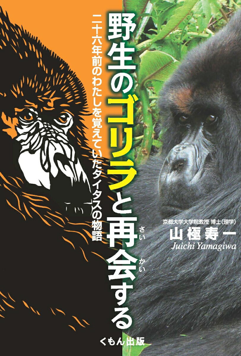 【中古】野生のゴリラと再会する 二十六年前のわたしを覚えていたタイタスの物語/くもん出版/山極寿一（単行本）
