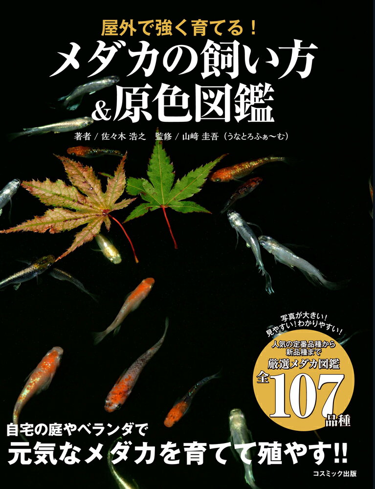 【中古】メダカの飼い方＆原色図鑑 屋外で強く育てる！/コスミック出版/佐々木浩之（単行本）