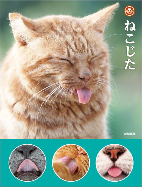 【中古】ねこじた/新紀元社/新紀元社（単行本（ソフトカバー））