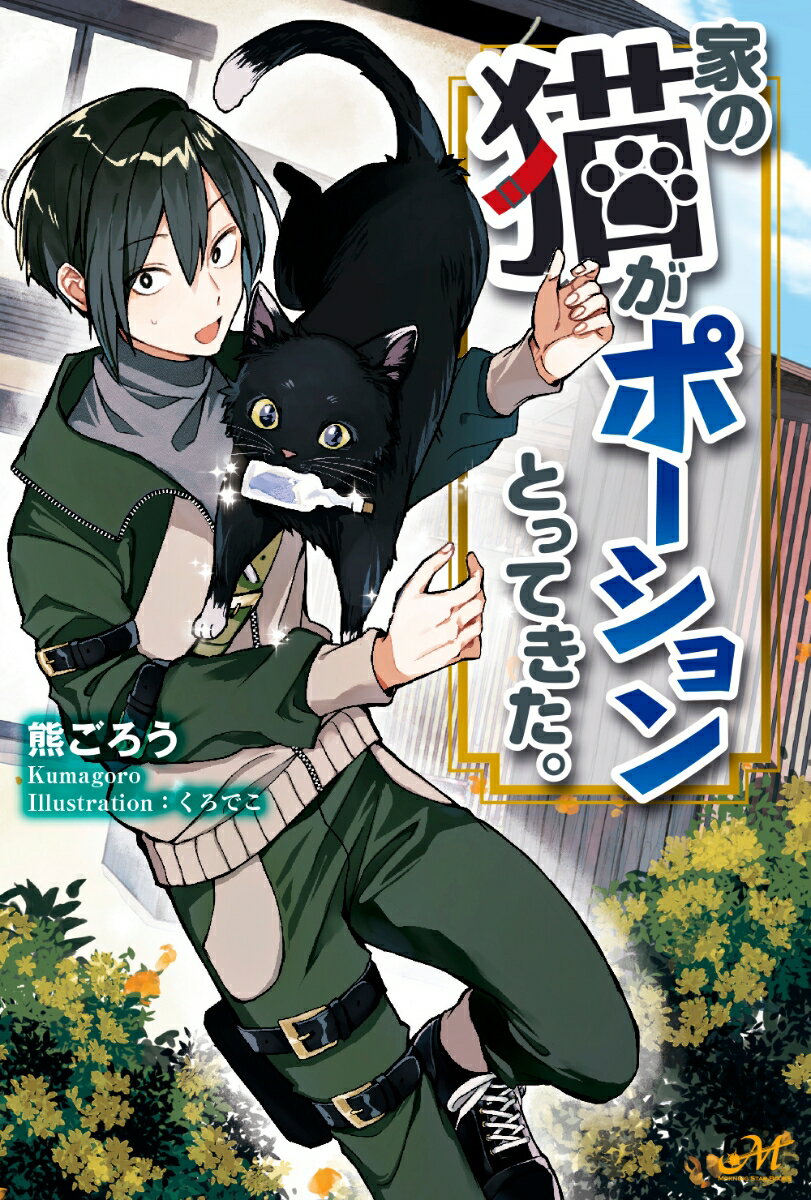 ◆◆◆非常にきれいな状態です。中古商品のため使用感等ある場合がございますが、品質には十分注意して発送いたします。 【毎日発送】 商品状態 著者名 熊ごろう、くろでこ 出版社名 新紀元社 発売日 2021年07月27日 ISBN 9784775319314
