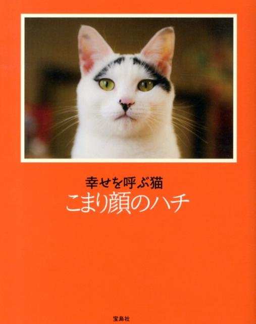【中古】幸せを呼ぶ猫こまり顔のハチ/宝島社（単行本）