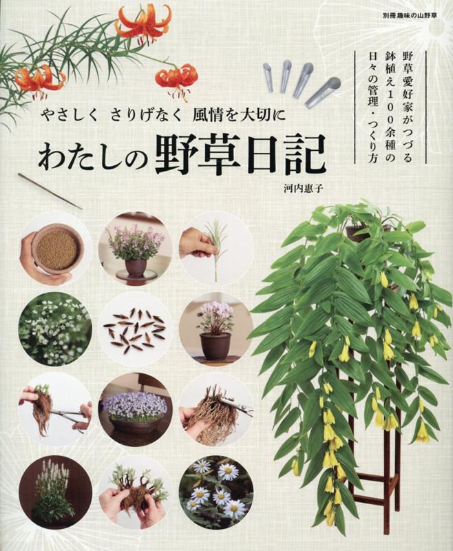 【中古】わたしの野草日記/栃の葉書房（ムック）