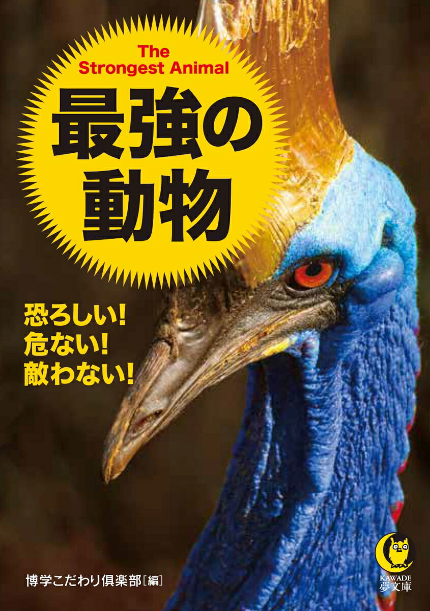 【中古】最強の動物 恐ろしい！危ない！敵わない！/河出書房新社/博学こだわり倶楽部（文庫）