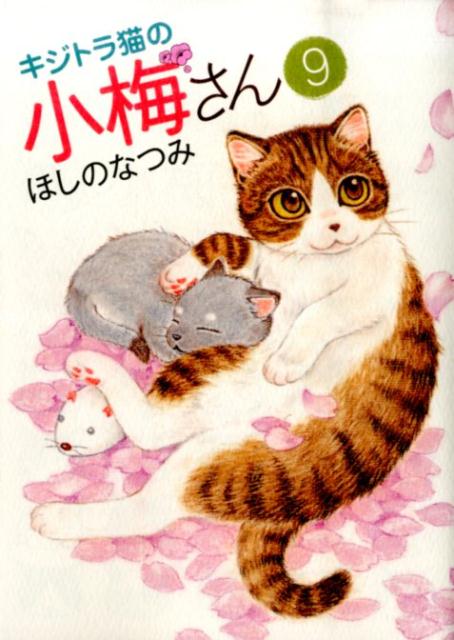【中古】キジトラ猫の小梅さん 9/少年画報社/ほしのなつみ（コミック）