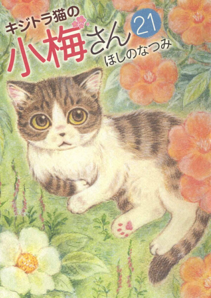 【中古】キジトラ猫の小梅さん 21/少年画報社/ほしのなつみ（コミック）