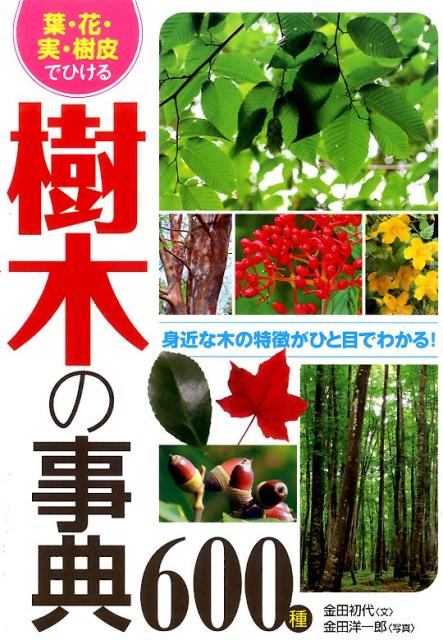 【中古】葉・花・実・樹皮でひける樹木の事典600種/西東社/金田初代（単行本（ソフトカバー））