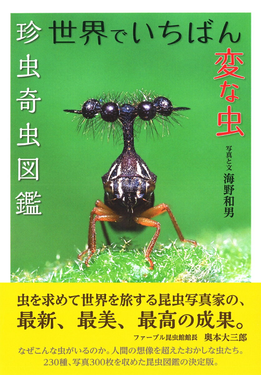 タンパク質構造とトポロジー パーシステントホモロジー群入門 （シリーズ・現象を解明する数学） [ 三村 昌泰 ]