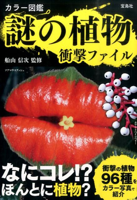 【中古】謎の植物衝撃ファイル カラ-図鑑/宝島社/船山信次（単行本）