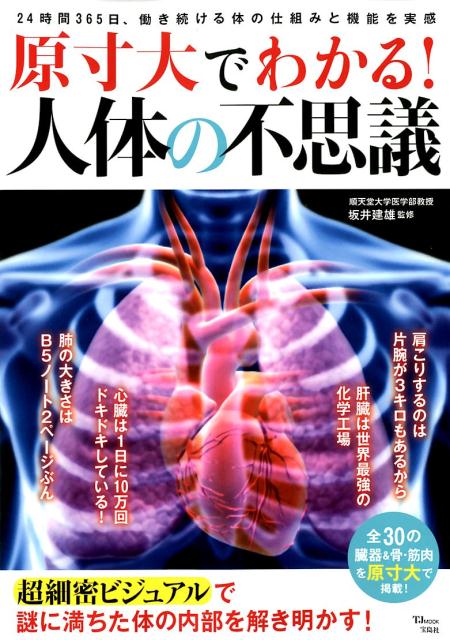 【中古】原寸大でわかる！人体の不思議/宝島社/坂井建雄（ムック）