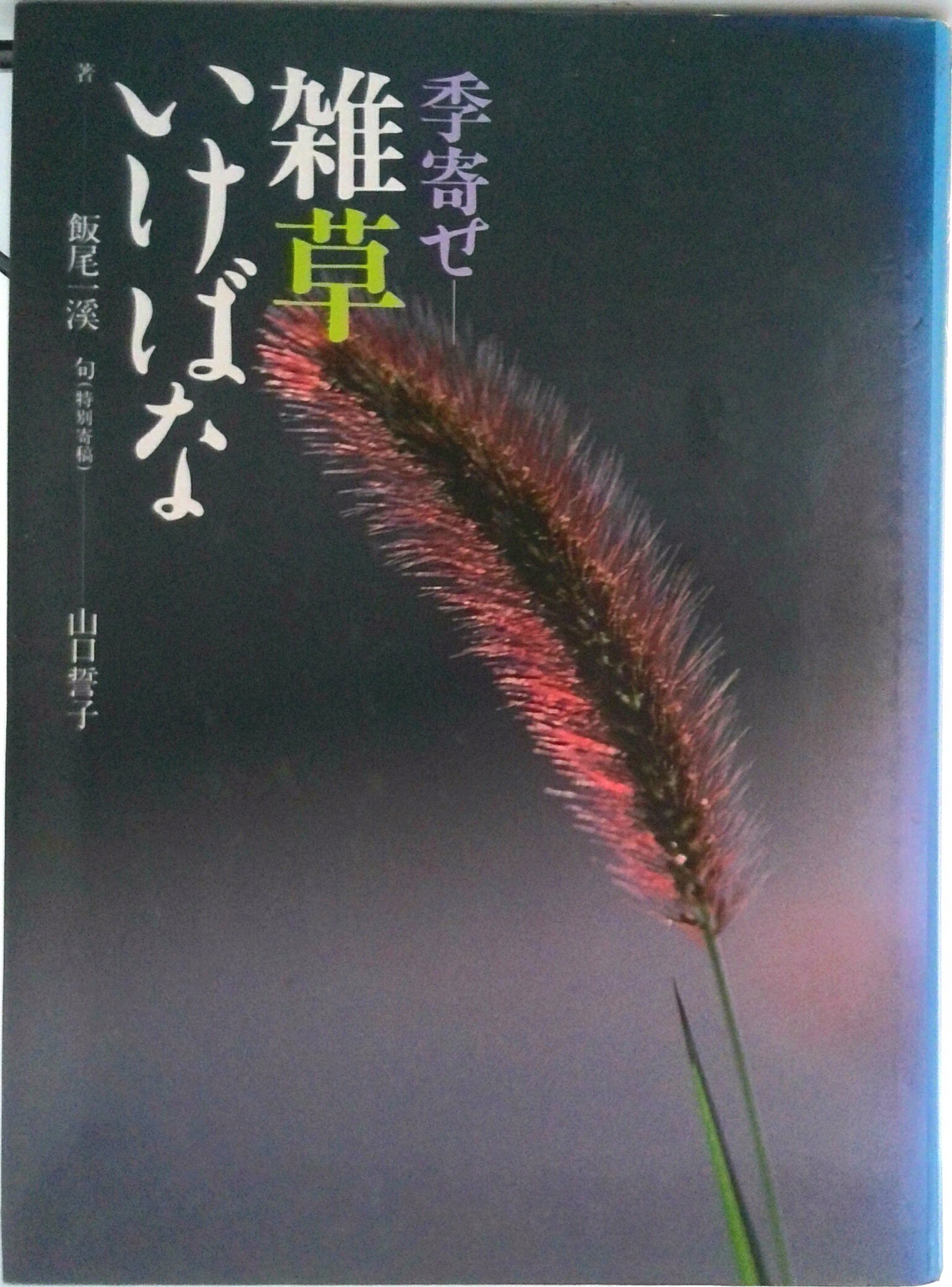 VALUE BOOKS㤨֡š۵-𤤤Ф/̼/̡ñܡˡפβǤʤ514ߤˤʤޤ