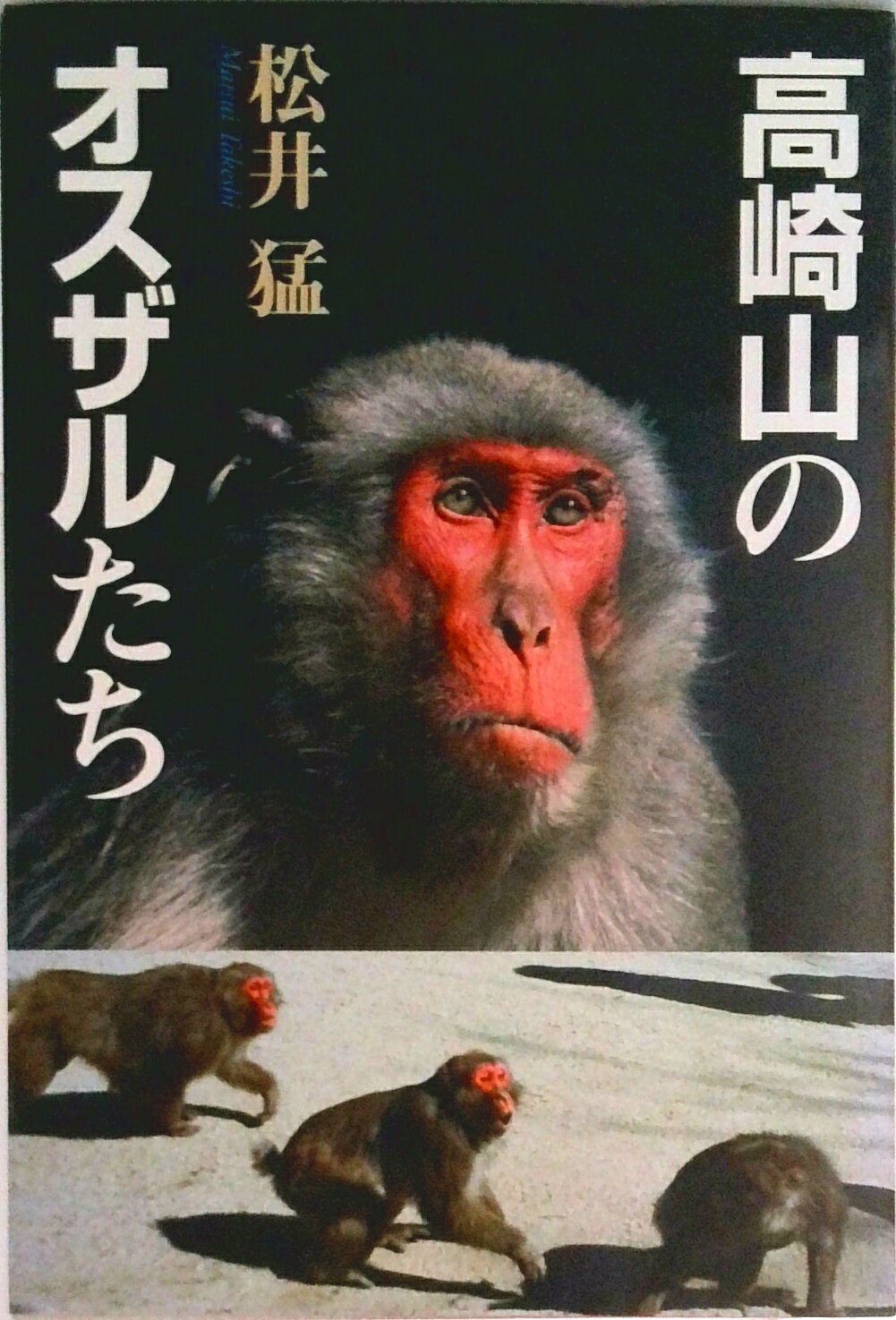 【中古】高崎山のオスザルたち/西日本新聞社/松井猛（単行本）