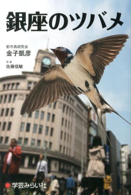 【中古】銀座のツバメ/学芸みらい社/金子凱彦（単行本）