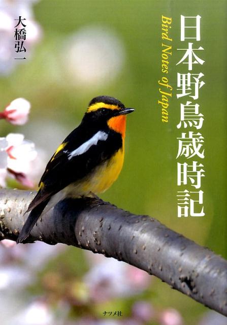 【中古】日本野鳥歳時記/ナツメ社/大橋弘一（単行本（ソフトカバー））