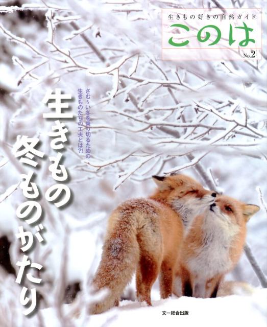 【中古】生きもの冬ものがたり/文一総合出版（大型本）