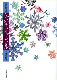 【中古】雪の結晶-冬のエフェメラル/北海道大学出版会/小林禎作（大型本）