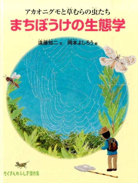 【中古】まちぼうけの生態学 アカオニグモと草むらの虫たち/福音館書店/遠藤知二（単行本）