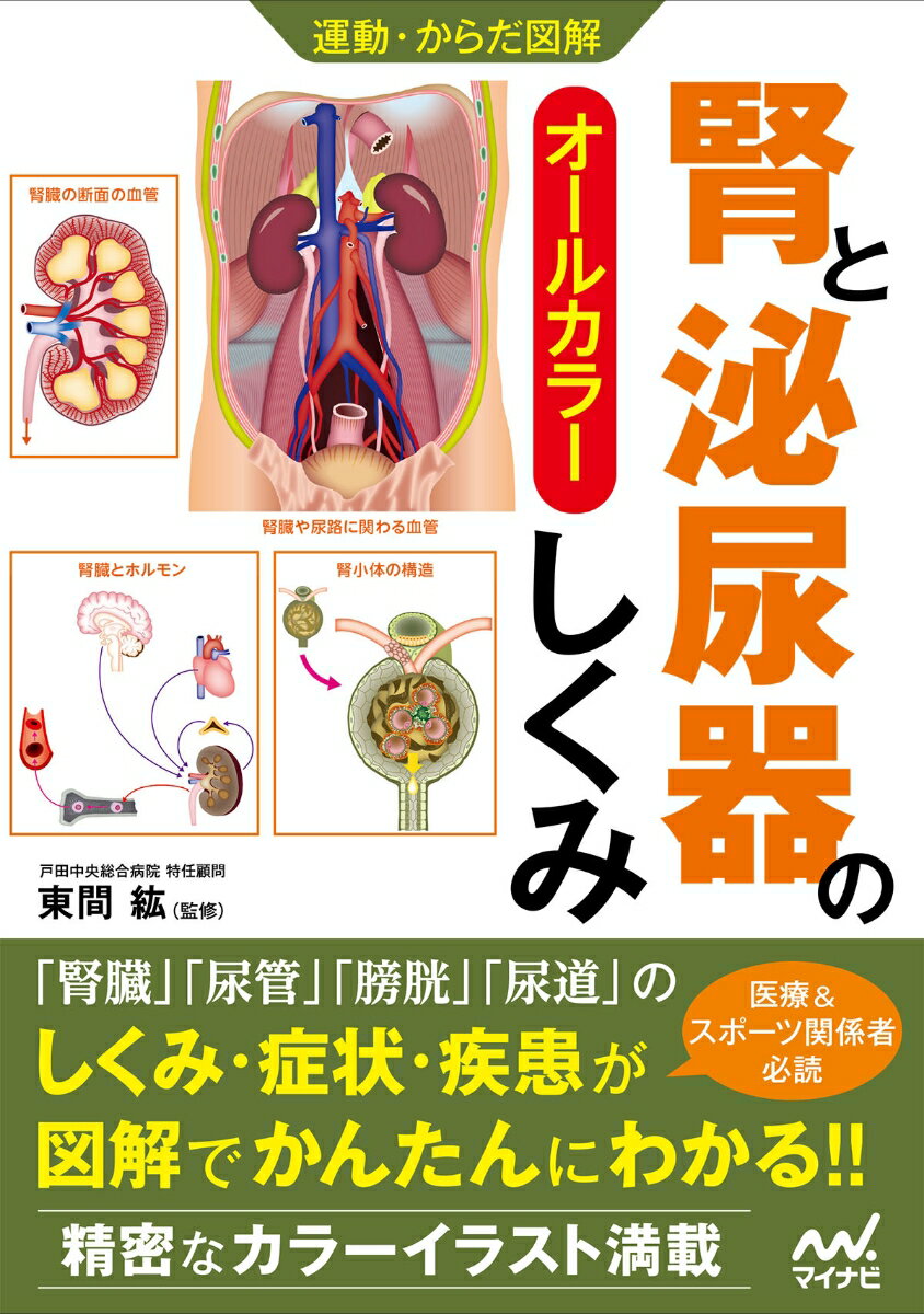 【中古】腎と泌尿器のしくみ/マイナビ出版/東間紘（単行本（ソフトカバー））