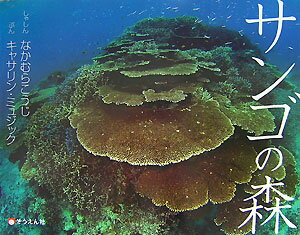 【中古】サンゴの森/そうえん社/中村宏治（大型本）