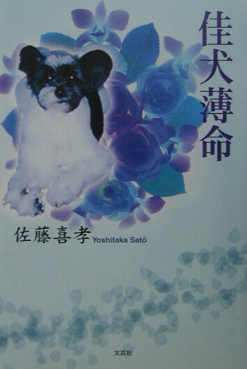 【中古】佳犬薄命/文芸社/佐藤喜孝（単行本）