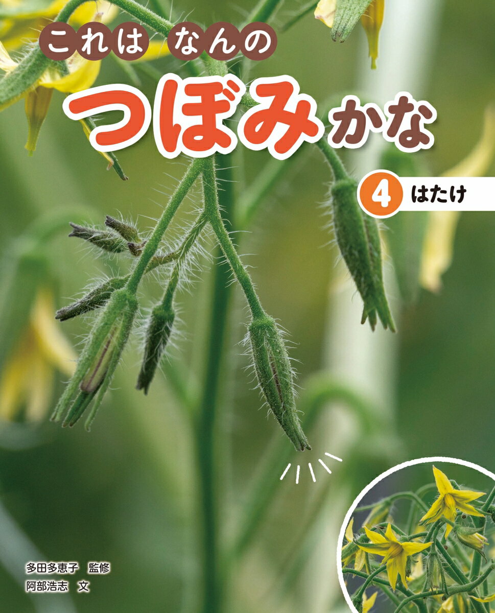 【中古】これはなんのつぼみかな 図書館用堅牢製本 4/汐文社/多田多恵子（単行本）