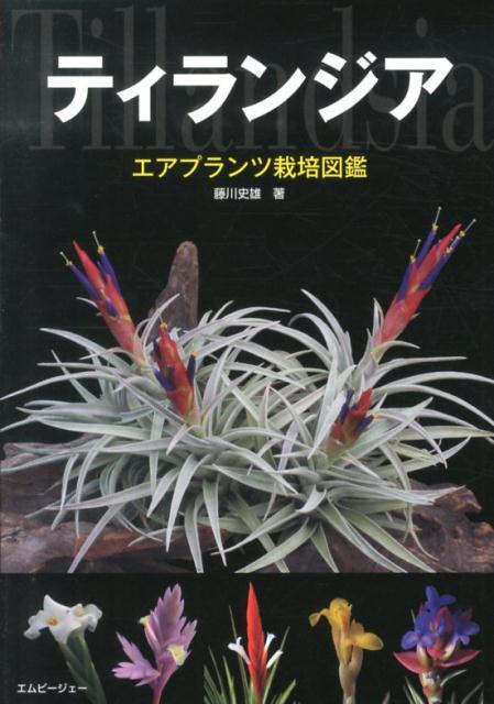 【中古】ティランジア エアプランツ栽培図鑑/エムピ-ジェ-/藤川史雄（単行本）