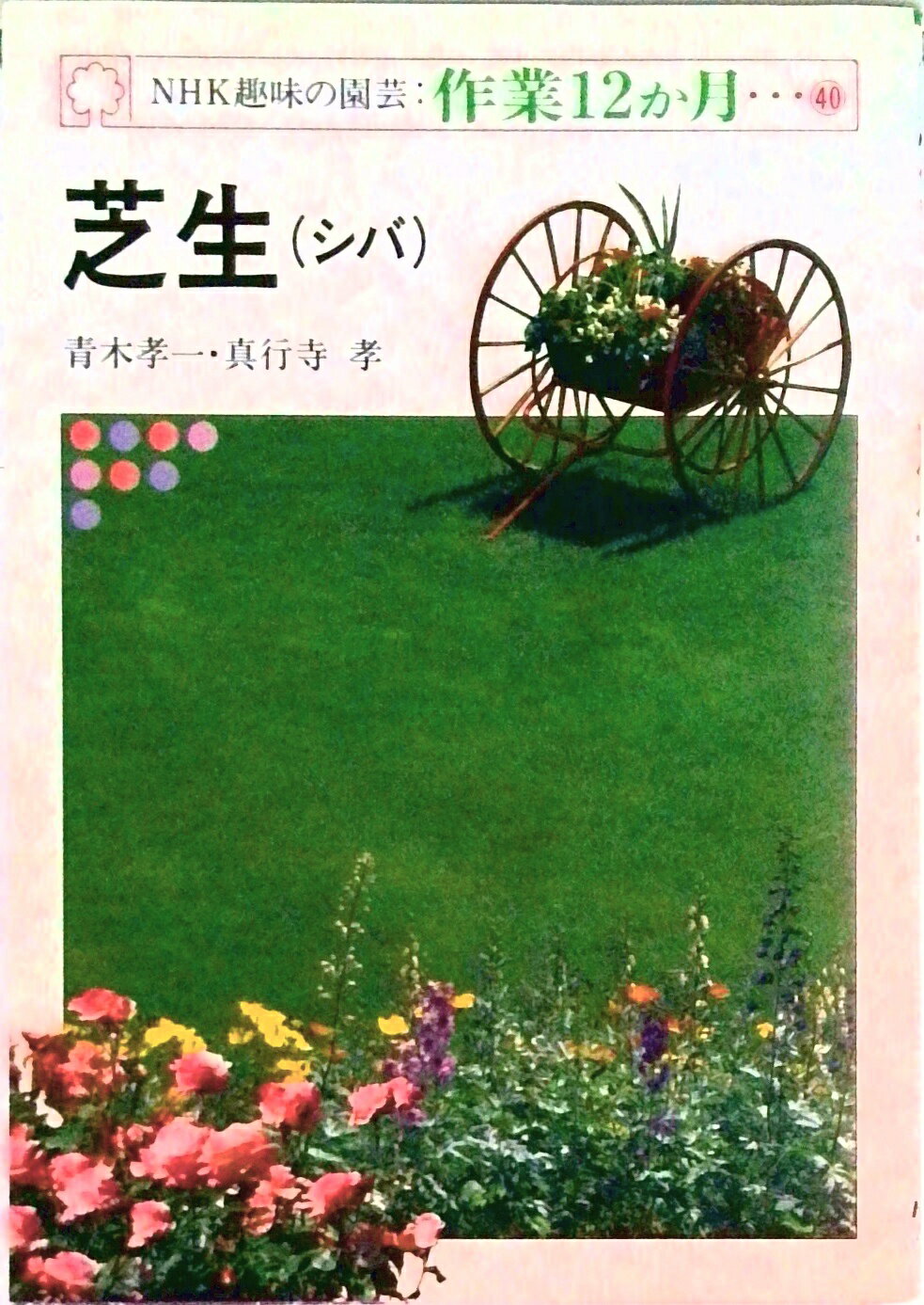 【中古】芝生（シバ）/NHK出版/青木孝一（単行本）