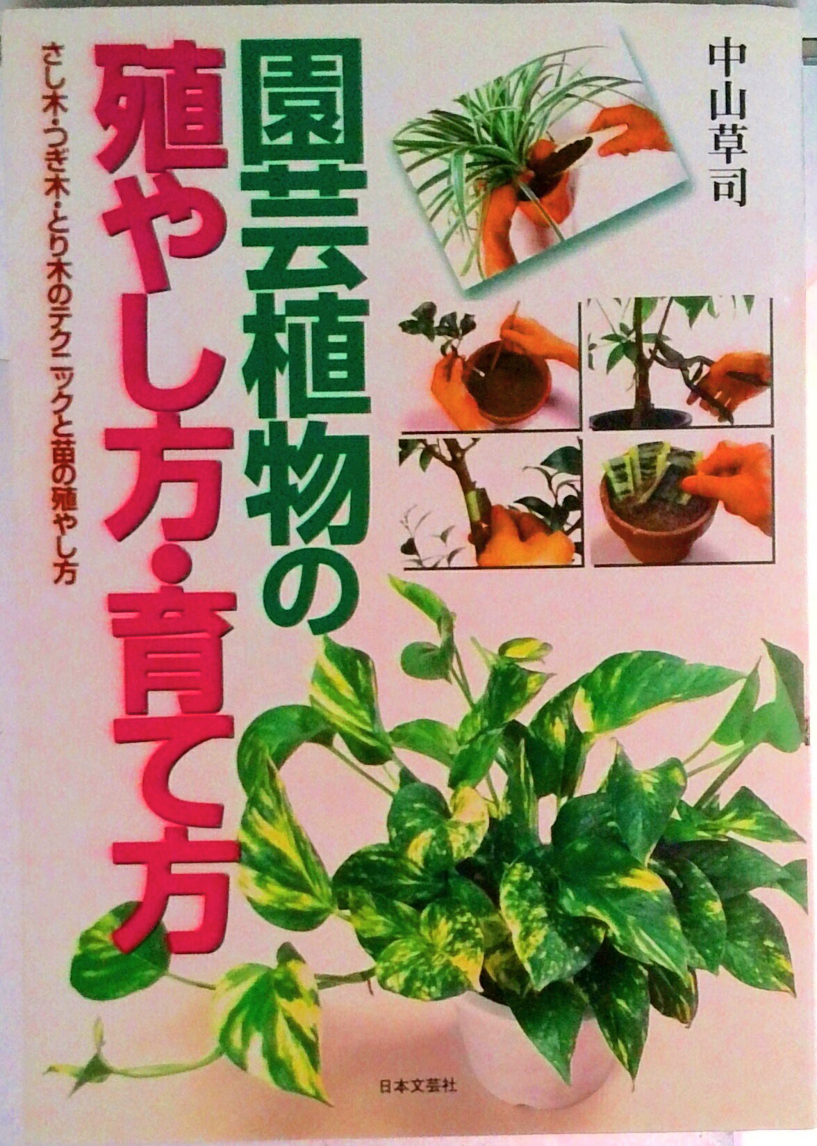 【中古】園芸植物の殖やし方・育て方 さし木・つぎ木・とり木のテクニックと苗の殖やし方/日本文芸社/中山草司（単行本）