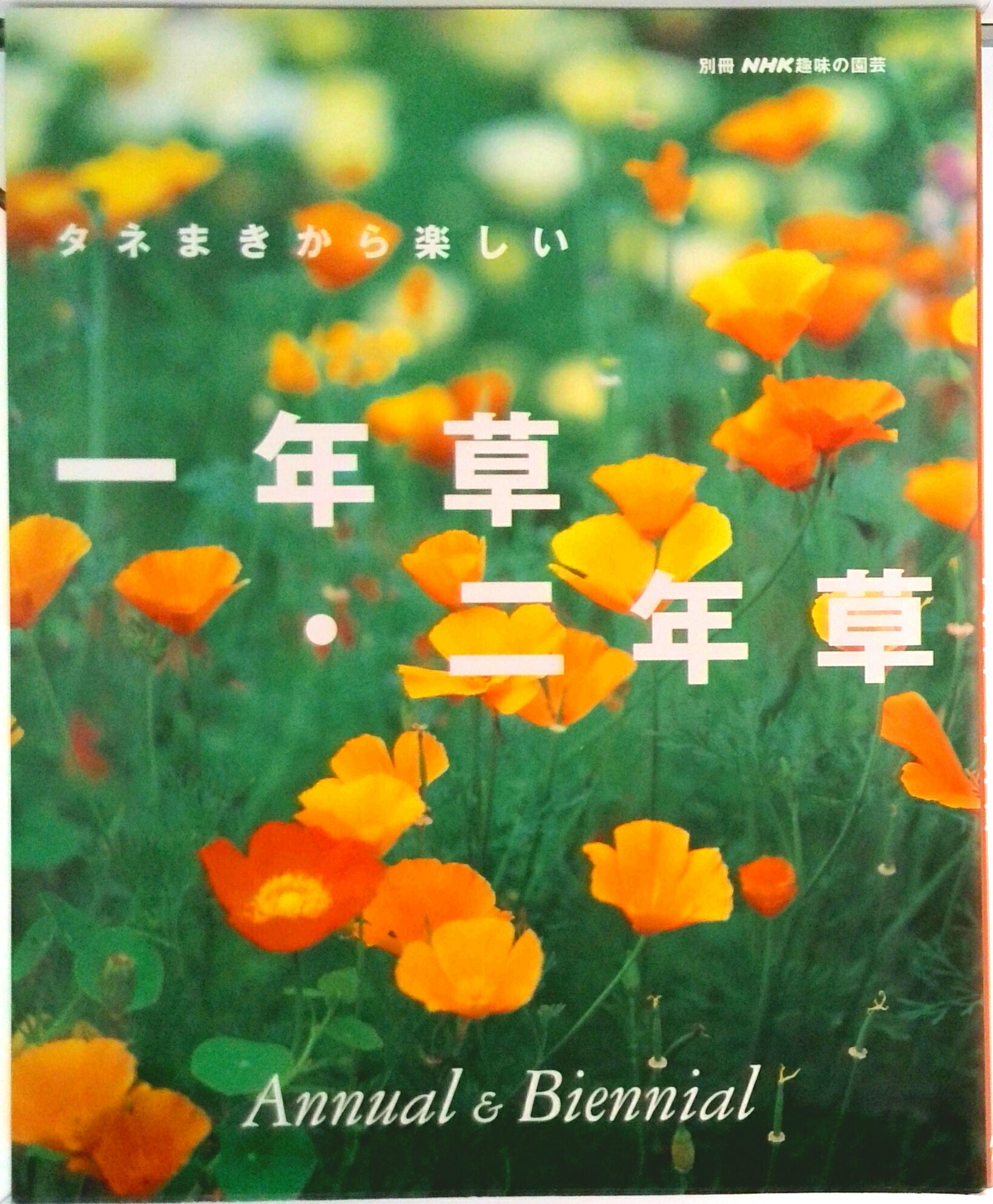 其它 - 【中古】タネまきから楽しい一年草・二年草/NHK出版（ムック）