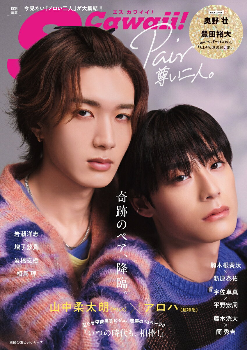 【中古】Pair尊い二人。/イマジカインフォス（ムック）