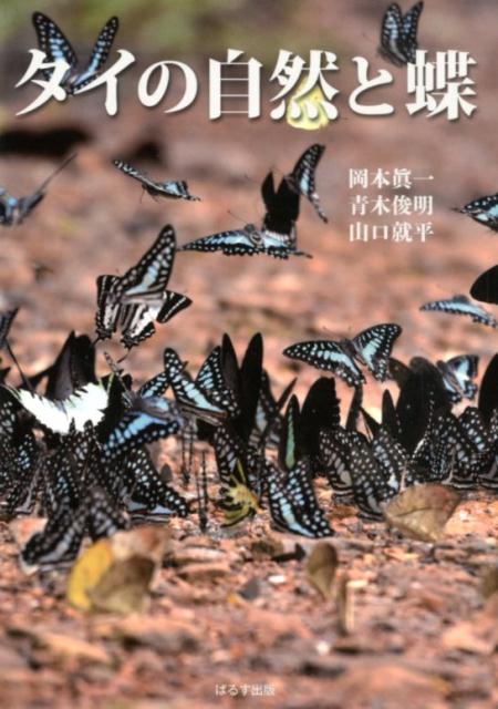 【中古】タイの自然と蝶/ぱるす出版/岡本眞一（単行本）